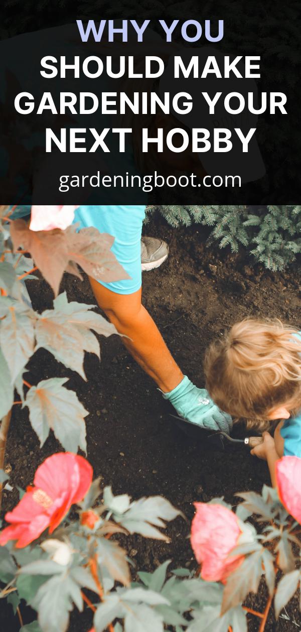 Why You Should Make Gardening Your Next Hobby