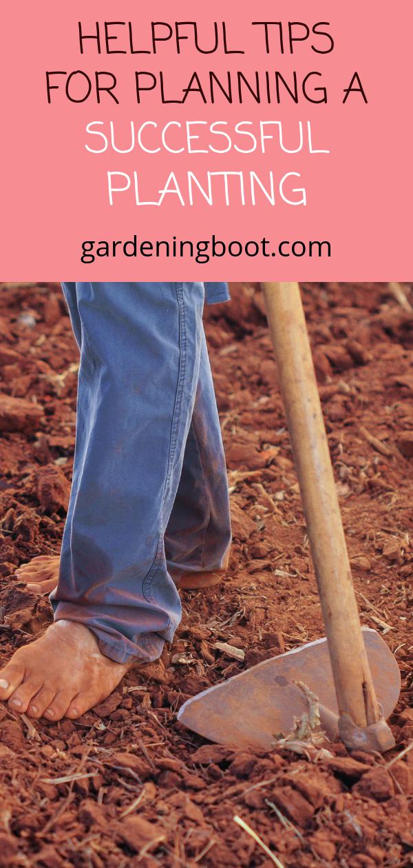 Helpful Tips for Planning a Successful Planting