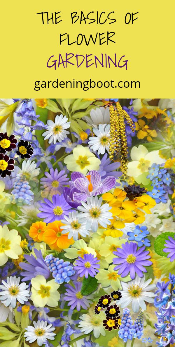 The Basics of Flower Gardening