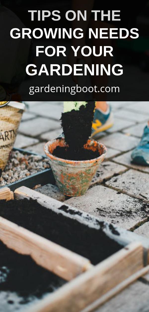 Tips on The Growing Needs for Your Gardening