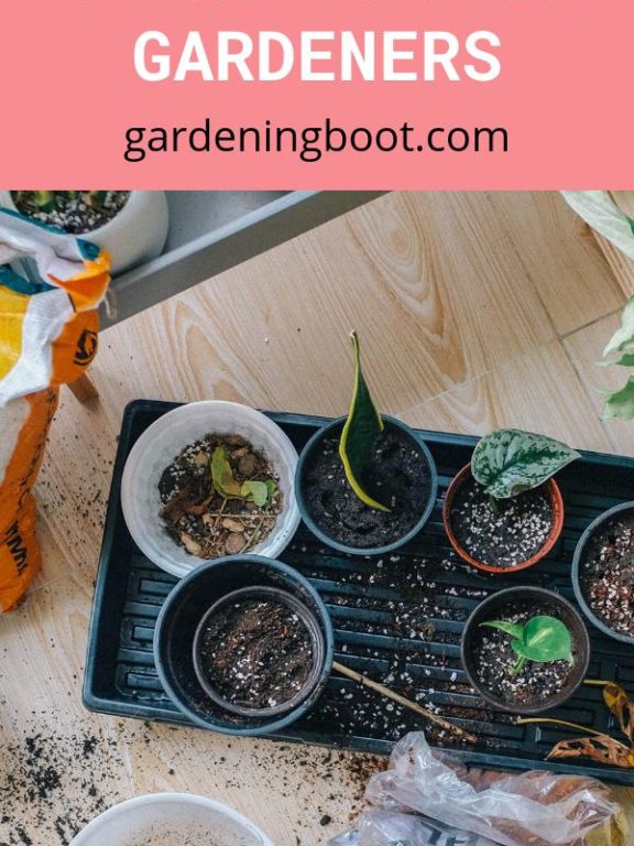 Efficient and Cost-Effective Method for New Gardeners