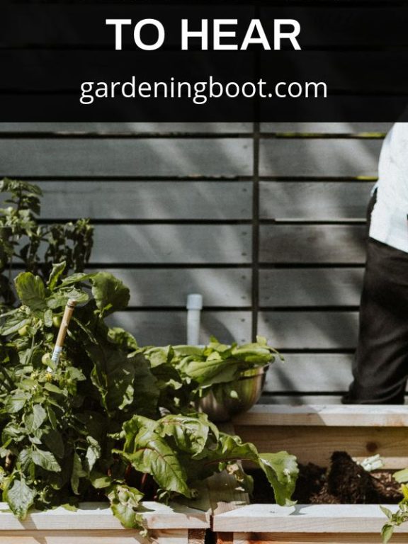 Garden Care Tips That Everyone Has To Hear